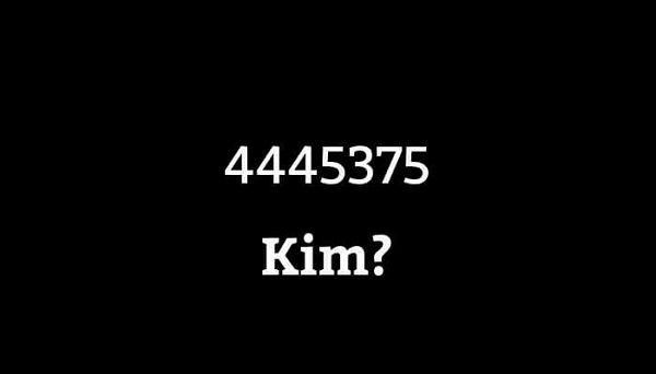 4445375 kim